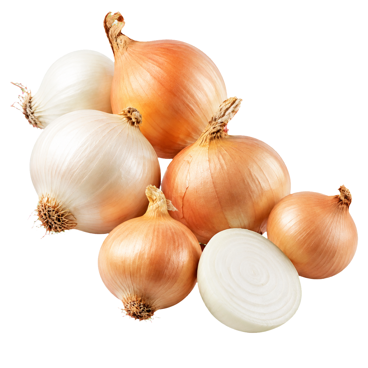 Cebollas frescas de GONSO Honduras